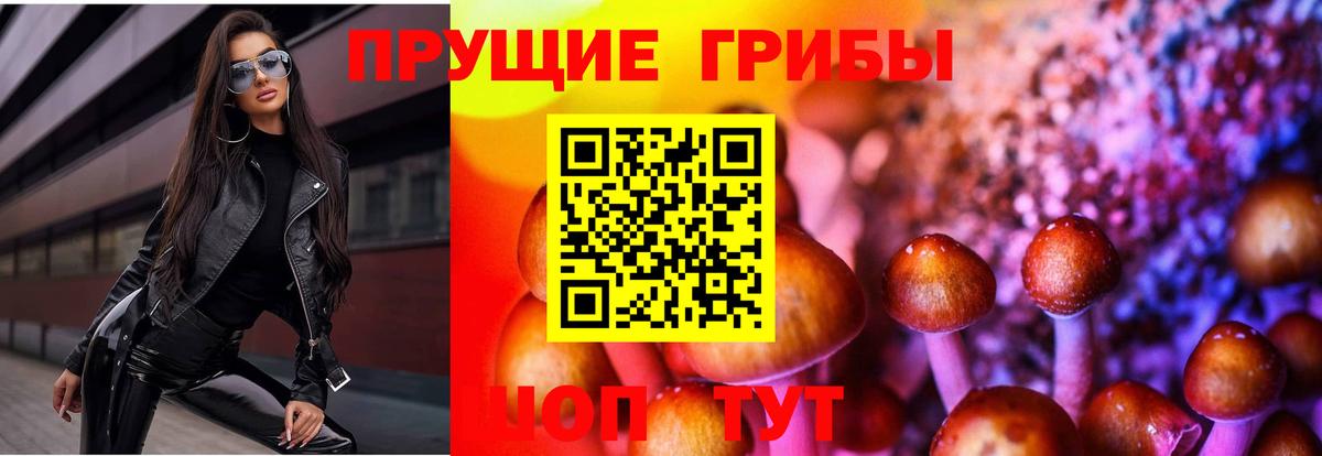 Псилоцибиновые грибы Magic Shrooms  даркнет сайт  Астрахань  Вход с VPN 