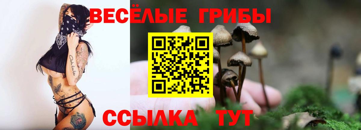 Галлюциногенные грибы прущие грибы Астрахань